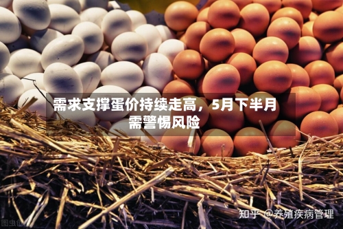 需求支撑蛋价持续走高，5月下半月需警惕风险-第3张图片
