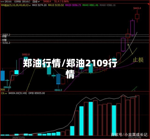 郑油行情/郑油2109行情-第2张图片