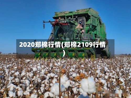 2020郑棉行情(郑棉2109行情)-第2张图片