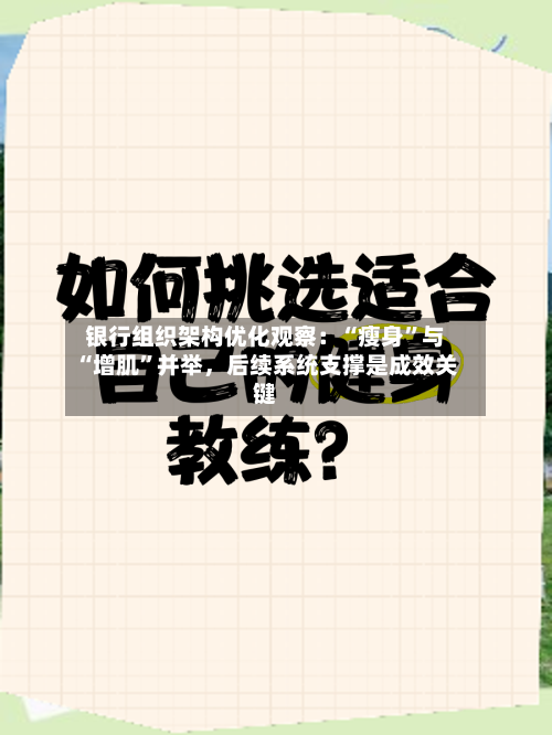 银行组织架构优化观察：“瘦身”与“增肌”并举，后续系统支撑是成效关键-第3张图片