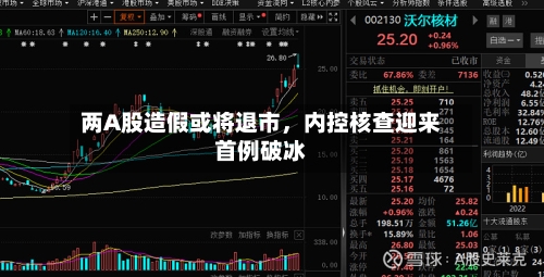 两A股造假或将退市，内控核查迎来首例破冰-第3张图片