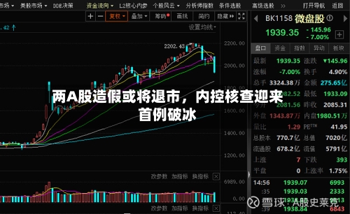 两A股造假或将退市，内控核查迎来首例破冰-第1张图片