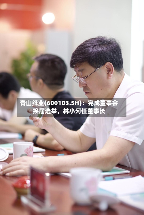 青山纸业(600103.SH)：完成董事会换届选举，林小河任董事长-第1张图片
