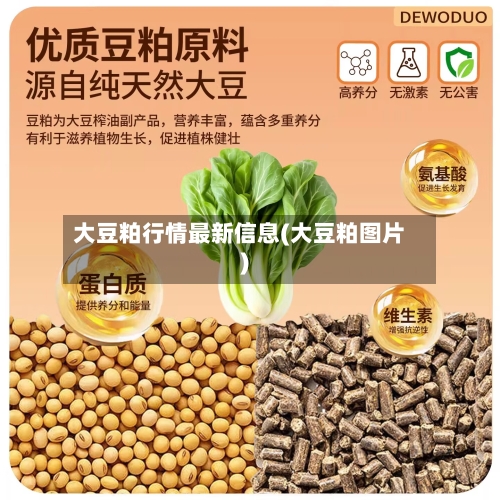 大豆粕行情最新信息(大豆粕图片)-第2张图片