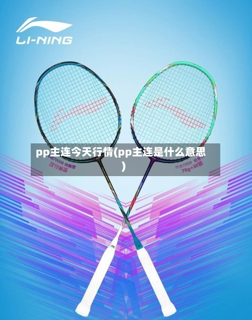 pp主连今天行情(pp主连是什么意思)-第2张图片