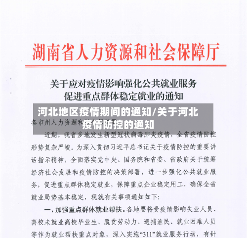 河北地区疫情期间的通知/关于河北疫情防控的通知-第3张图片
