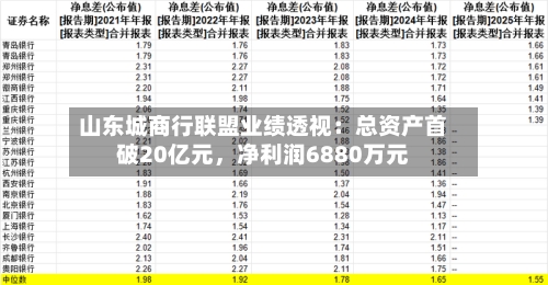 山东城商行联盟业绩透视：总资产首破20亿元，净利润6880万元-第1张图片