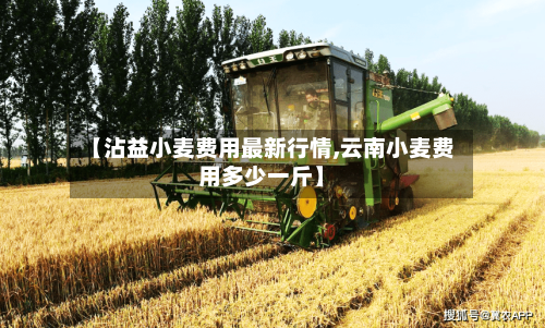 【沾益小麦费用最新行情,云南小麦费用多少一斤】-第1张图片