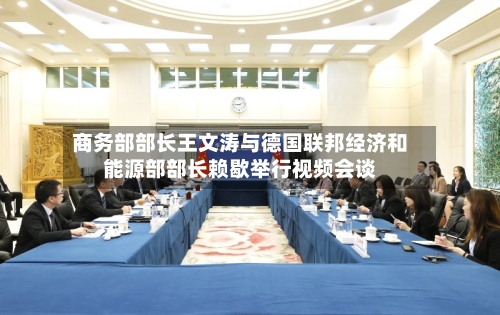 商务部部长王文涛与德国联邦经济和能源部部长赖歇举行视频会谈-第1张图片