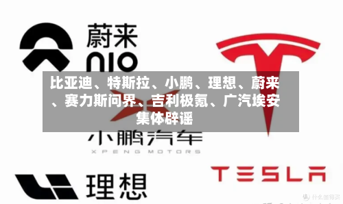 比亚迪、特斯拉	、小鹏、理想、蔚来	、赛力斯问界、吉利极氪、广汽埃安集体辟谣-第2张图片