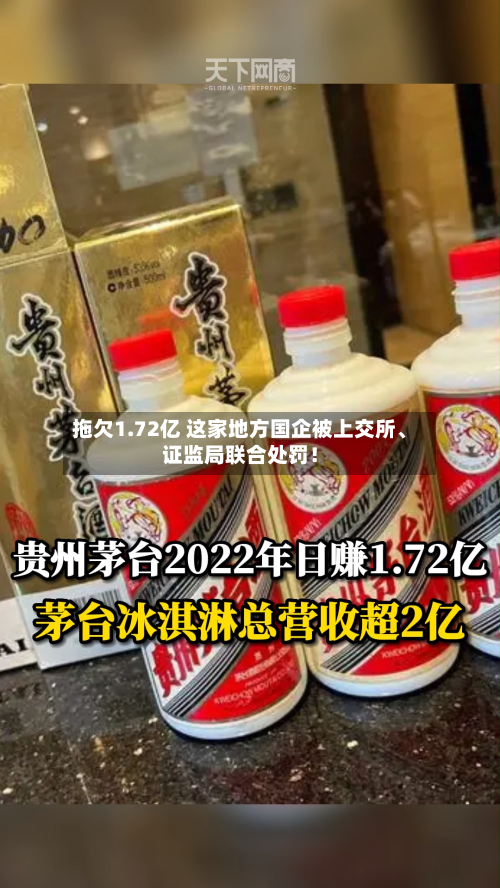 拖欠1.72亿 这家地方国企被上交所、证监局联合处罚！-第1张图片