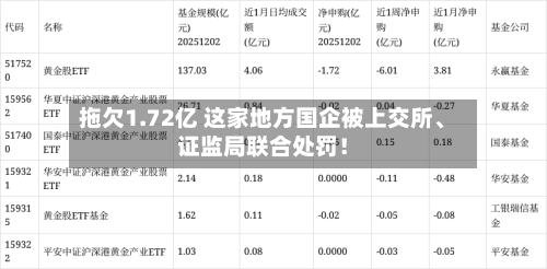 拖欠1.72亿 这家地方国企被上交所、证监局联合处罚！-第2张图片