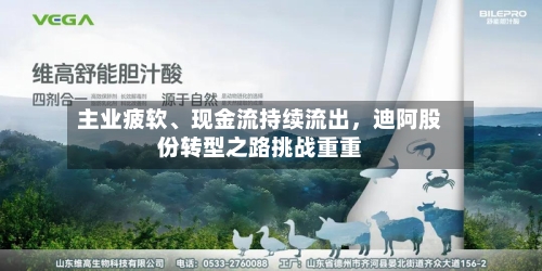 主业疲软、现金流持续流出	，迪阿股份转型之路挑战重重-第1张图片