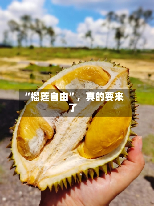 “榴莲自由”，真的要来了-第3张图片
