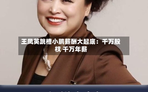 王凤英跳槽小鹏薪酬大起底：千万股权 千万年薪-第1张图片