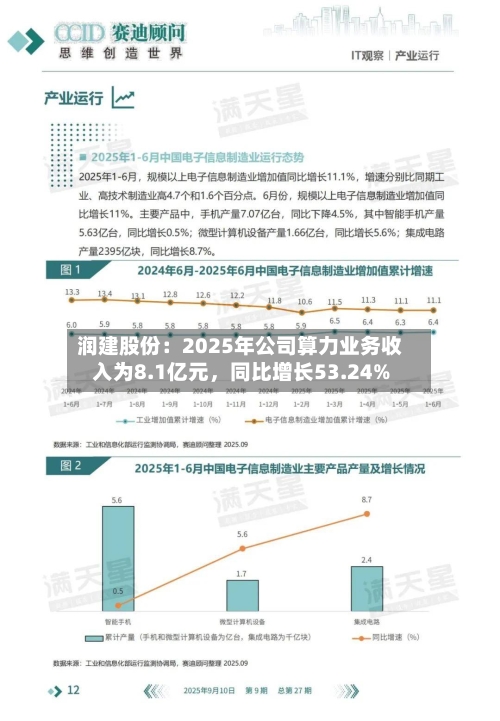 润建股份：2025年公司算力业务收入为8.1亿元	，同比增长53.24%-第2张图片