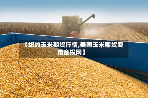【纽约玉米期货行情,美国玉米期货费用金投网】-第2张图片