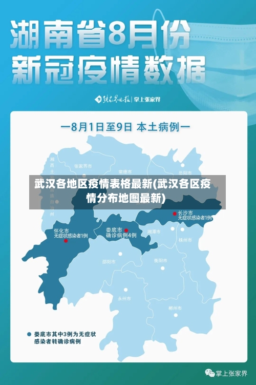 武汉各地区疫情表格最新(武汉各区疫情分布地图最新)-第1张图片