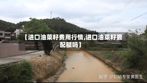 【进口油菜籽费用行情,进口油菜籽要配额吗】-第1张图片