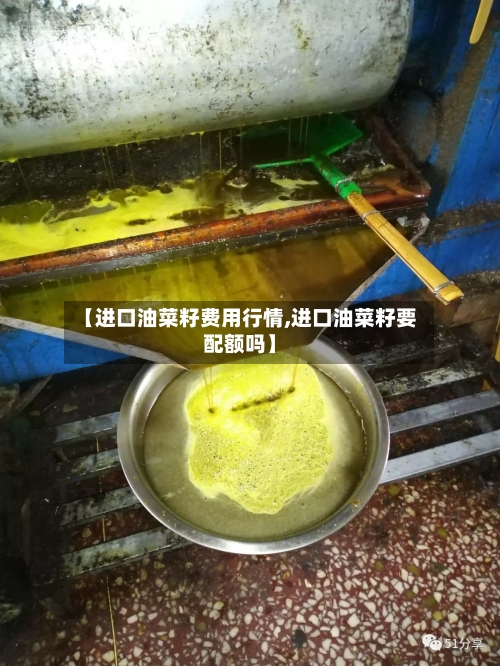 【进口油菜籽费用行情,进口油菜籽要配额吗】-第2张图片