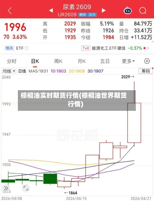 棕榈油实时期货行情(棕榈油世界期货行情)-第1张图片