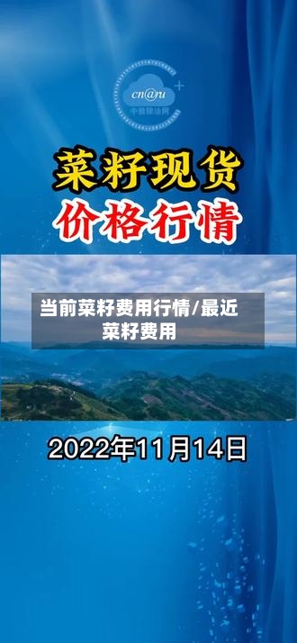 当前菜籽费用行情/最近菜籽费用-第2张图片