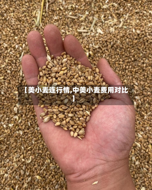 【美小麦连行情,中美小麦费用对比】-第1张图片