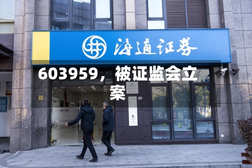 603959，被证监会立案-第3张图片