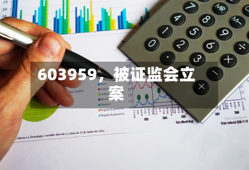 603959，被证监会立案-第1张图片