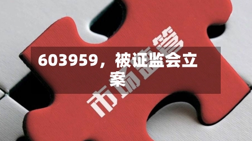 603959，被证监会立案-第2张图片