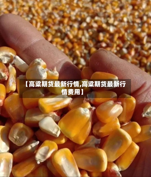 【高粱期货最新行情,高粱期货最新行情费用】-第1张图片