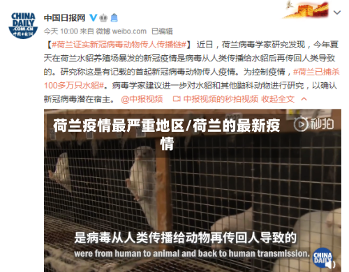 荷兰疫情最严重地区/荷兰的最新疫情-第2张图片