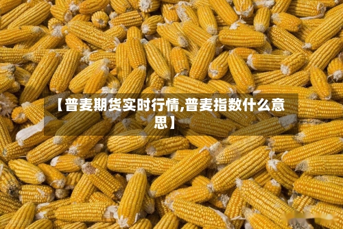 【普麦期货实时行情,普麦指数什么意思】-第1张图片