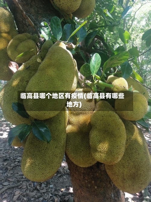 临高县哪个地区有疫情(临高县有哪些地方)-第1张图片