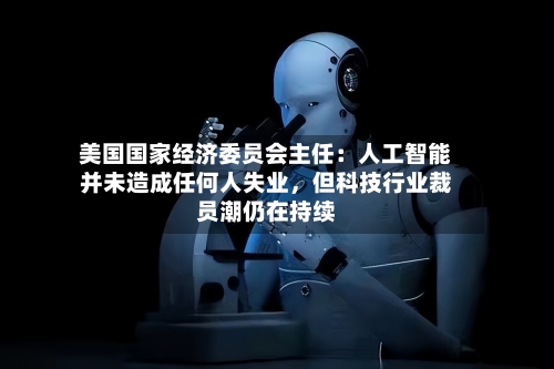 美国国家经济委员会主任：人工智能并未造成任何人失业	，但科技行业裁员潮仍在持续-第3张图片