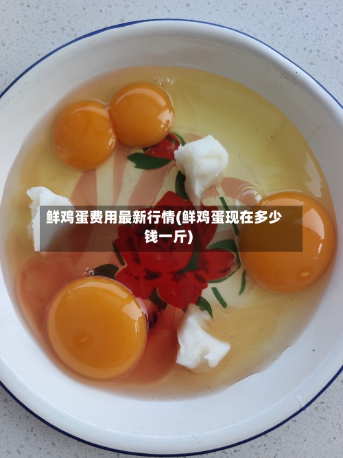 鲜鸡蛋费用最新行情(鲜鸡蛋现在多少钱一斤)-第2张图片