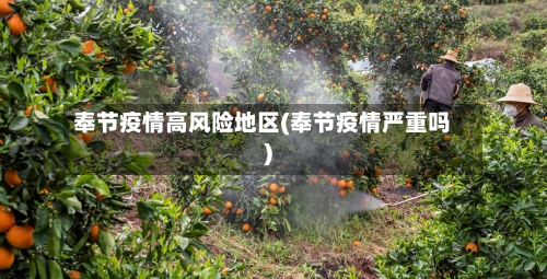奉节疫情高风险地区(奉节疫情严重吗)-第1张图片