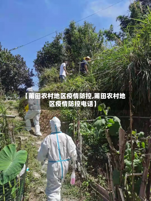 【莆田农村地区疫情防控,莆田农村地区疫情防控电话】-第2张图片