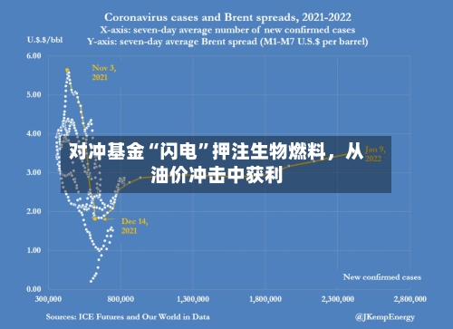 对冲基金“闪电	”押注生物燃料	，从油价冲击中获利-第1张图片