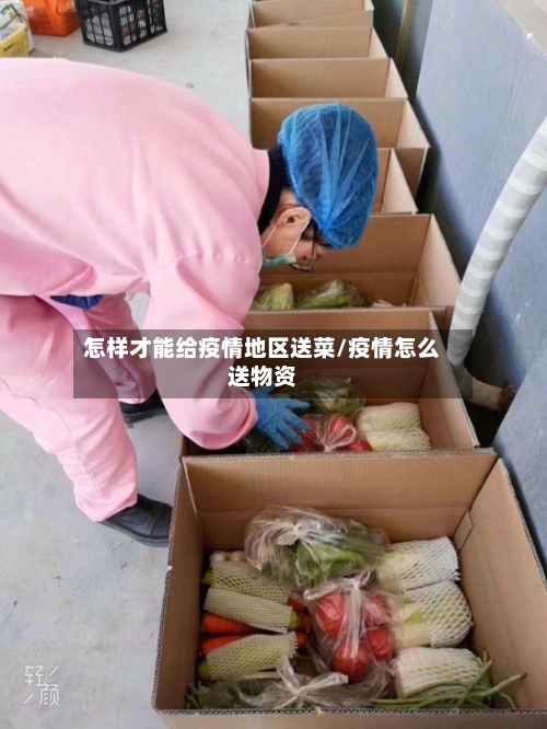 怎样才能给疫情地区送菜/疫情怎么送物资-第1张图片