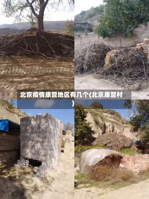 北京疫情康营地区有几个(北京康营村)-第1张图片