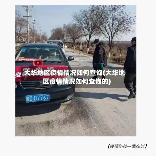 大华地区疫情情况如何查询(大华地区疫情情况如何查询的)-第2张图片