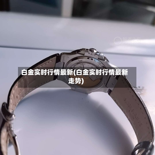 白金实时行情最新(白金实时行情最新走势)-第1张图片