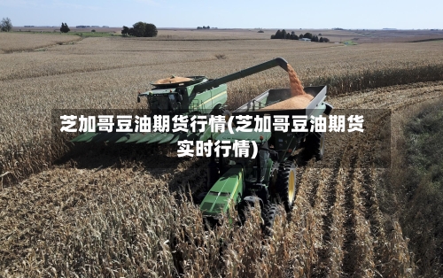 芝加哥豆油期货行情(芝加哥豆油期货实时行情)-第2张图片