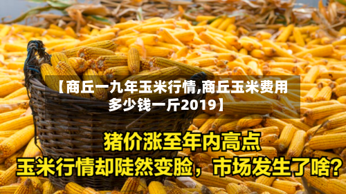【商丘一九年玉米行情,商丘玉米费用多少钱一斤2019】-第1张图片