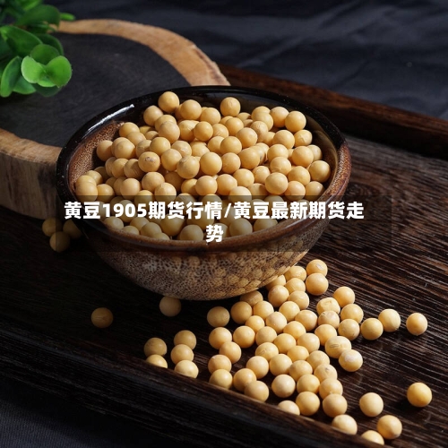 黄豆1905期货行情/黄豆最新期货走势-第1张图片