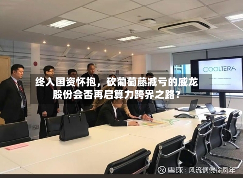终入国资怀抱	，砍葡萄藤减亏的威龙股份会否再启算力跨界之路？-第2张图片