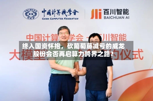 终入国资怀抱，砍葡萄藤减亏的威龙股份会否再启算力跨界之路？-第1张图片