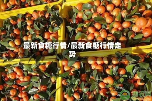 最新食糖行情/最新食糖行情走势-第2张图片