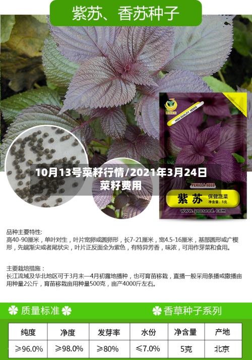 10月13号菜籽行情/2021年3月24日菜籽费用-第1张图片